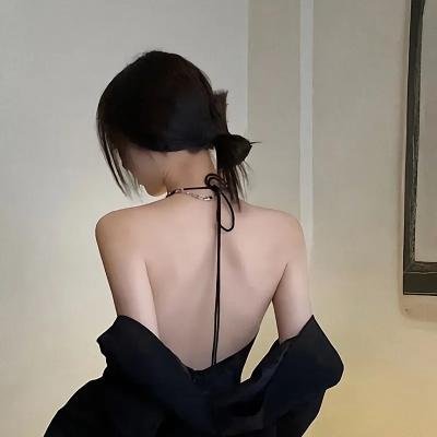 方案