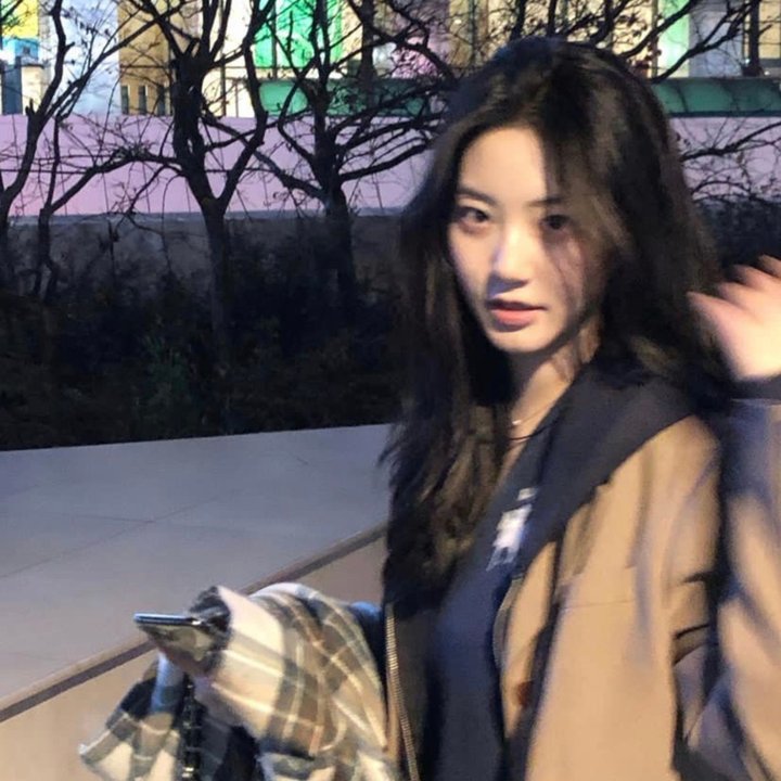 欢迎来到丛林